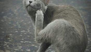 Photo by AlaDin Habboubi